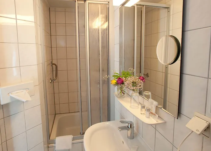 Hotell Baurs Park 3*